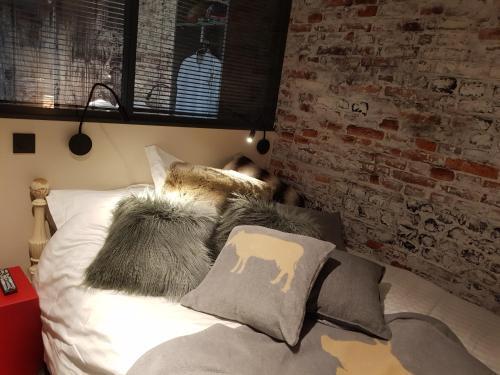 Apartamento 1+1