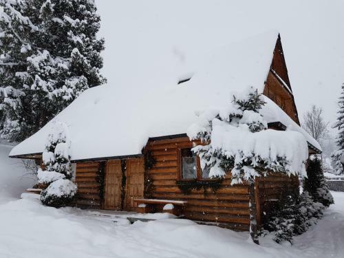 Domki Camping Harenda