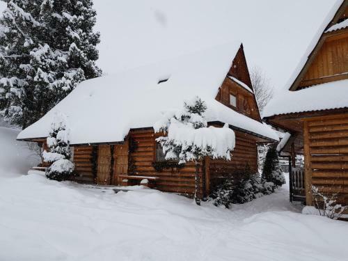 Domki Camping Harenda