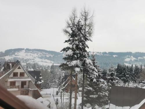 Apartamenty Villa Ski-b�wki