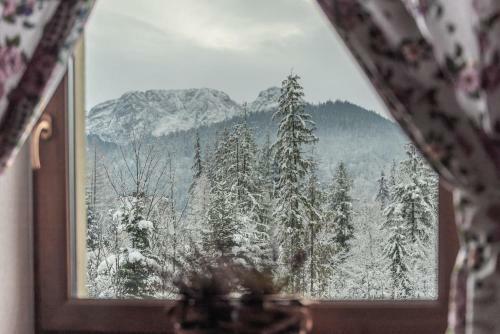 Apartamenty Villa Ski-b�wki