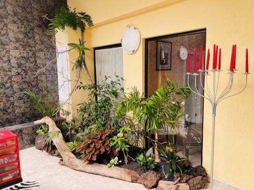 Hotel B&B Ga7colores Only Adult