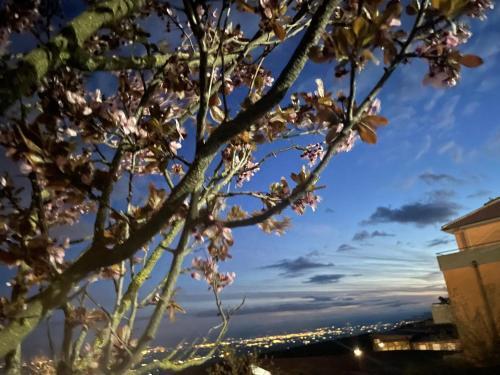 Bed & Breakfast Al Dolmen