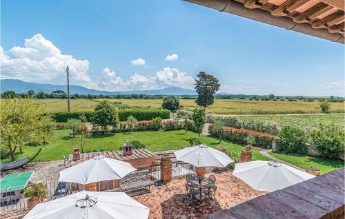 Tenuta Brancoleta