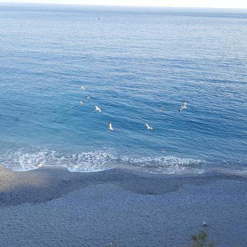 Hostal La Terrazza Sul Mare Affittacamere