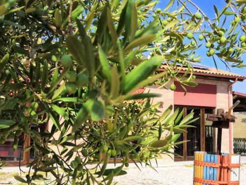 Agroturismo Country House Torrenera
