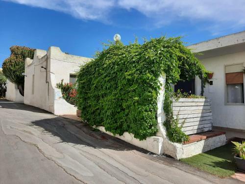 Hostal Stella Marina Albergo Diffuso - B&B