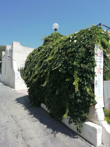 Hostal Stella Marina Albergo Diffuso - B&B