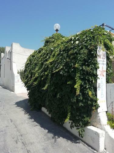 Hostal Stella Marina Albergo Diffuso - B&B
