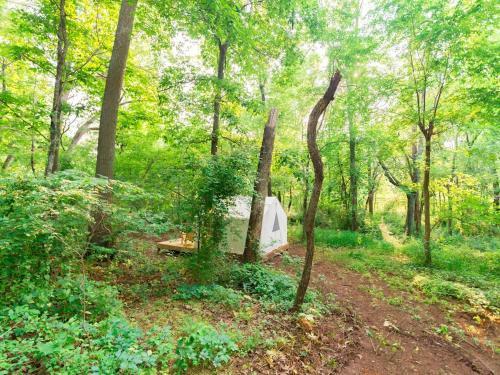 Tentrr - Good Intentions Farm