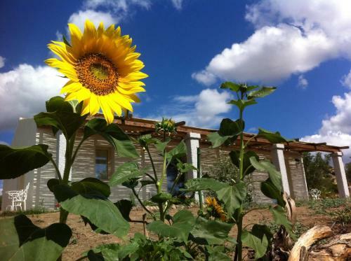 Bed & Breakfast Nacchinono