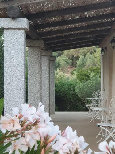 Bed & Breakfast Nacchinono