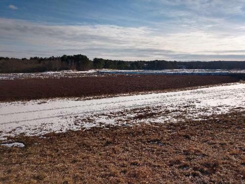 Tentrr - Spring Hill On Cape Cod