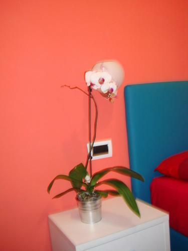 Bed & Breakfast Bovio Modern Suite