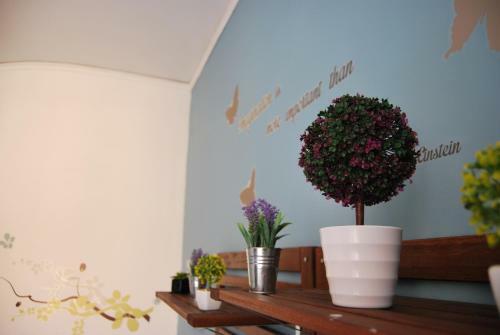 Spaccanapoli Bros. B&B