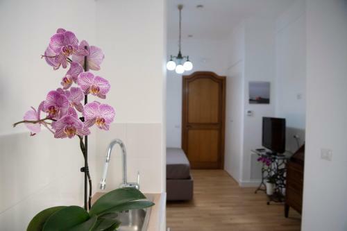 Apartamento Vesuvio Blu