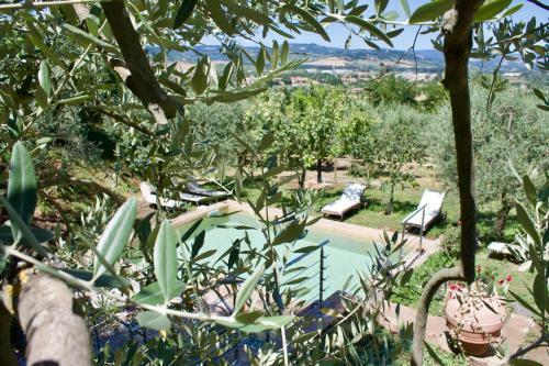 Agroturismo Agriturismo Podere Pescara