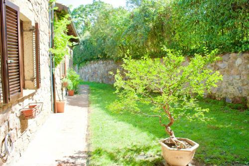Agroturismo Agriturismo Podere Pescara