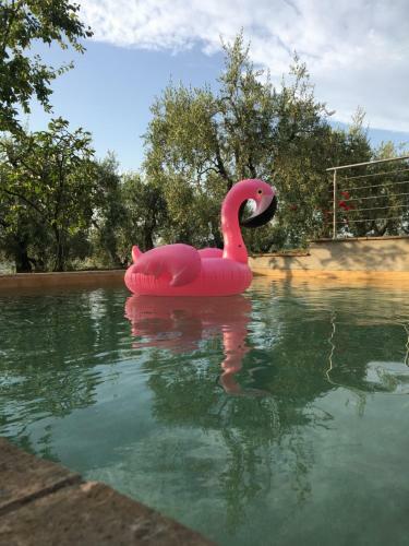 Agroturismo Agriturismo Podere Pescara
