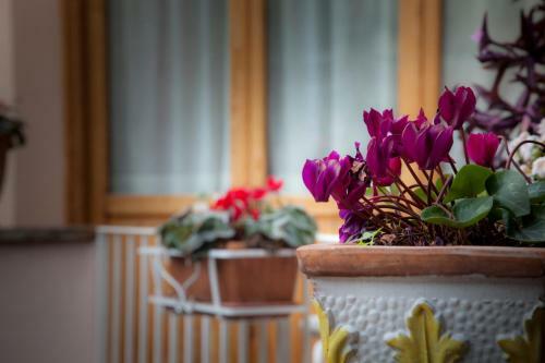 B&B Corte Catalana