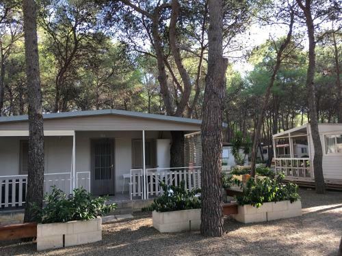 Camping Village Riva Dei Greci