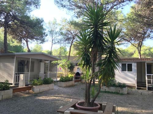 Camping Village Riva Dei Greci