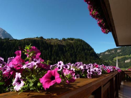 Bed&breakfast Villa Arnika
