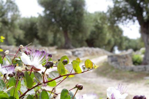 Bed & Breakfast Lichiantidde Home&breakfast