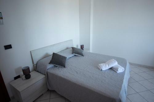 B&B Esterita