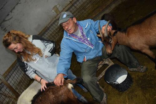 Hotel Lh Albergo Il Picchio