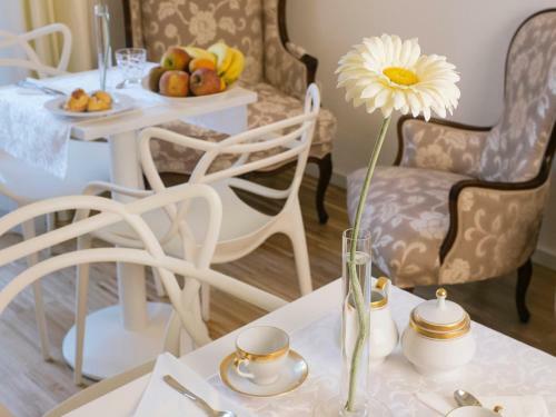 Bed & Breakfast Maison Fleurie