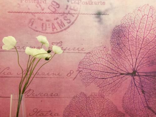 Bed & Breakfast Maison Fleurie