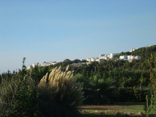 Agroturismo La Piana Di Calena