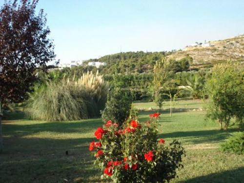 Agroturismo La Piana Di Calena