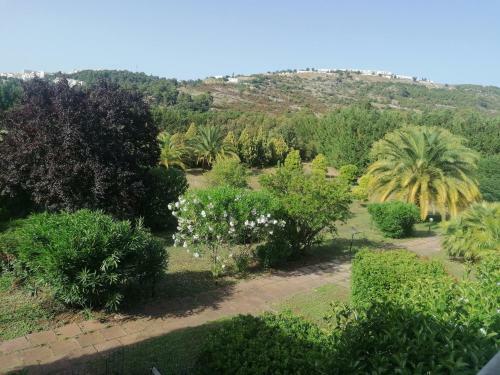 Agroturismo La Piana Di Calena