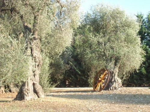 Agroturismo La Piana Di Calena