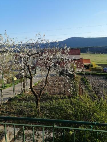 Ku?a Za Odmor Iva