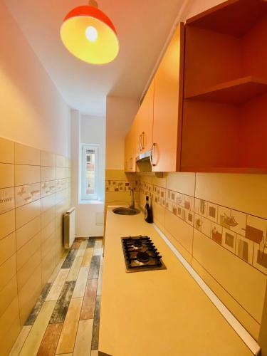 Apartamento Calea Victoriei Studio