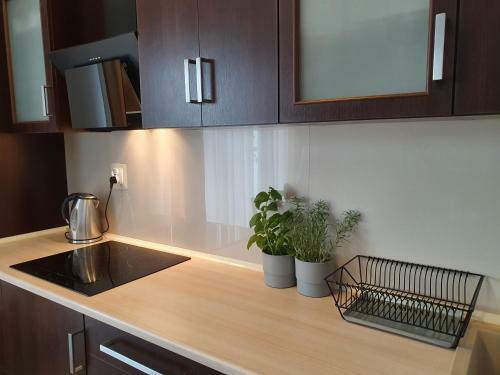 Apartament Z Ogrodem - Pot?gowska