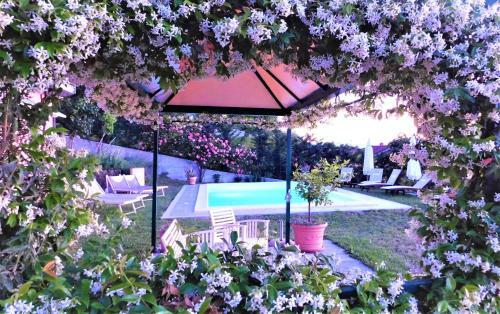 Domus Langhe B&B
