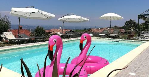 Domus Langhe B&B