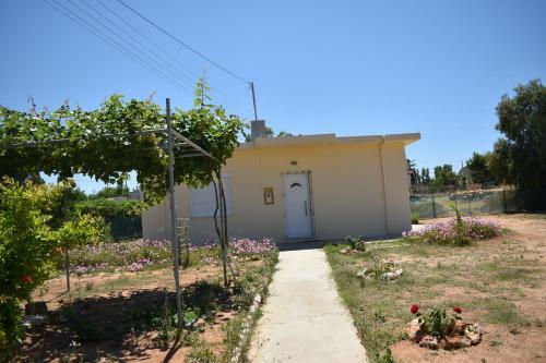 Demi's House