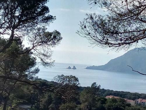 Apartamento Studio Bord De Mer