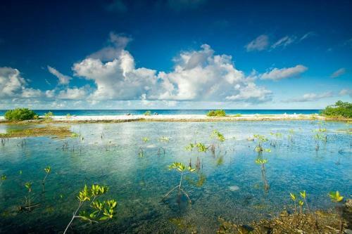 Villa Luna Bonaire