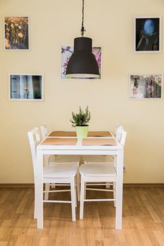 Apartamento P�llupesa