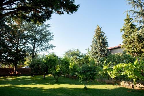 N�-ko Apartmanh�z