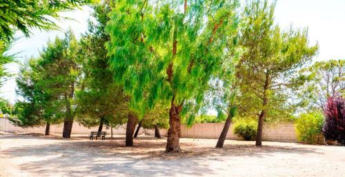 Apartamento Casette Salento A 10 Minuti Da Gallipoli