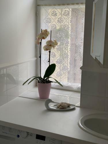 Hostal Kert�sz-h�z