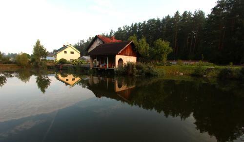 Hostal Forest B&B