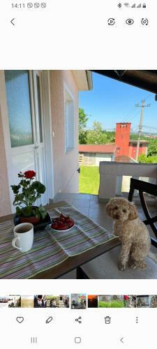 Apartmani Tri A
